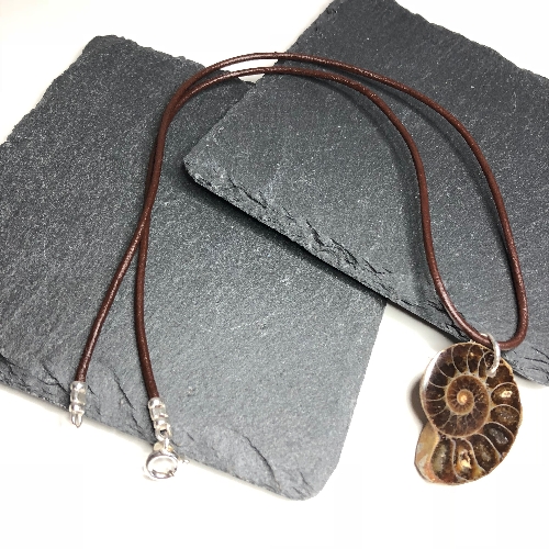 Fossil Ammonite Pendant  | SilverTales | Hand Crafted Jewellery